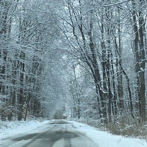 Meet your Posher, Ronnie